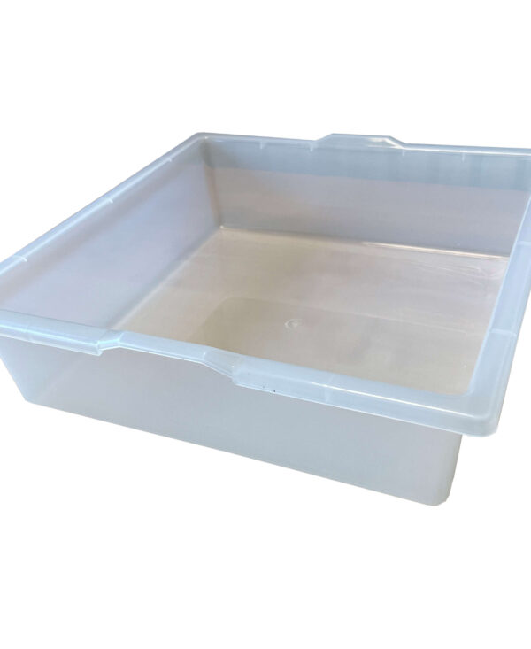 Transparent Tray